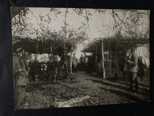 photo presse écurie chevaux