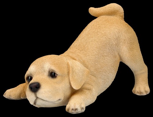 Hotant statue chien - chien,