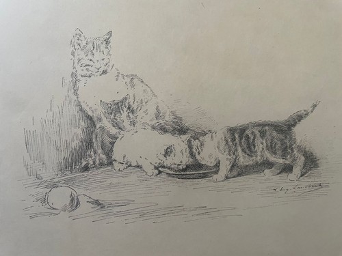 Gravure louis eugène lambert - gravure,