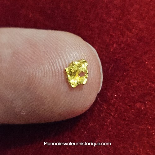 Pépite naturelle - d'or,