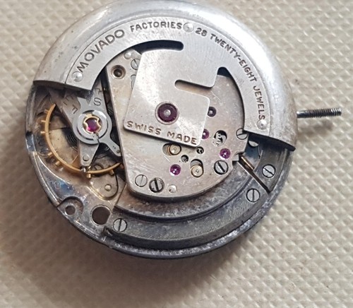 Movado kingmatic automatic - movado,