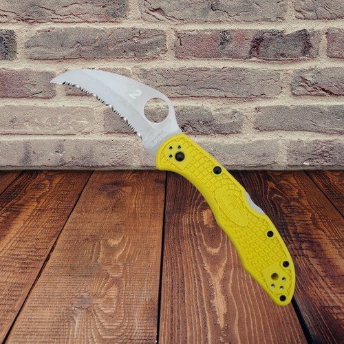 Spyderco tasman salt - 2, folding
