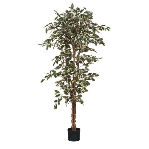 Mica decorations plante - mica,