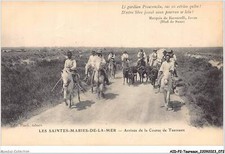 AIDP2-bulls-0113 - in camargue - herd of bulls and guardian