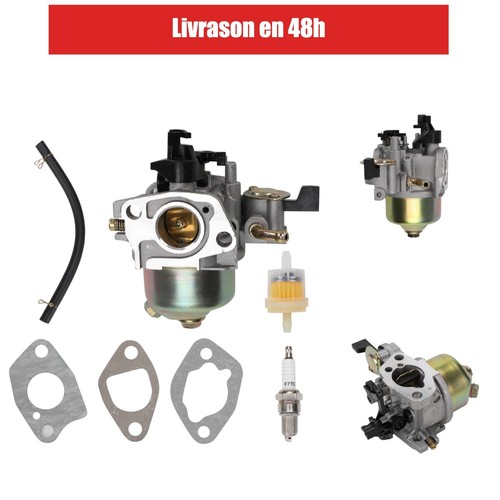Carburateur rashion compatible - carburateur,