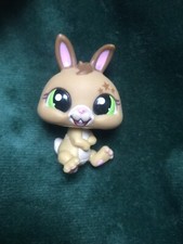 💖🌺 petshop lapin nain