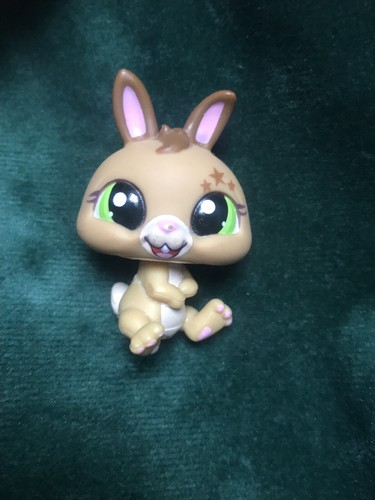 Petshop lapin nain - petshop,