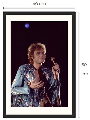 Johnny hallyday photo - hallyday, cadre