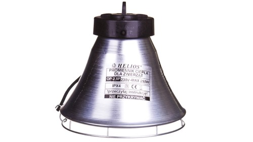 Lampe pour projecteur