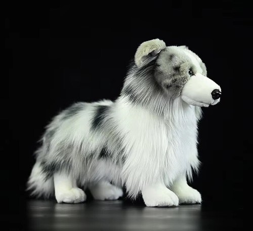 Merle border collie - dog, 10"