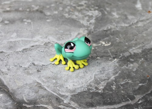 Grenouille verte jaune - et,