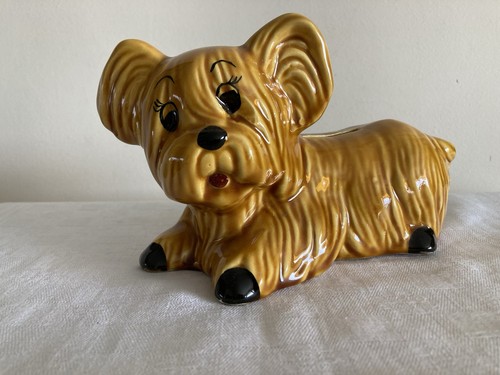 Adorable chien yorkshire - adorable,