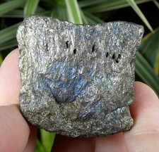 Bornite massive irisée