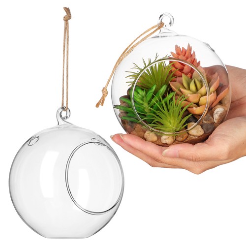 Pcs terrarium verre de - terrarium, en