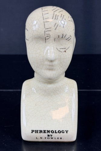 Fowler phrenology head bust - fowler,