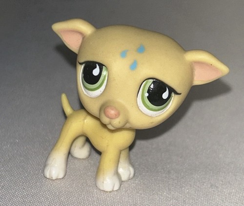 Hasbro lps original - hasbro,