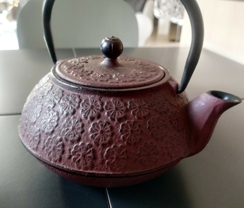Théière japonaise style - théière,
