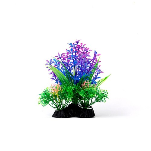 Plantes aquatiques