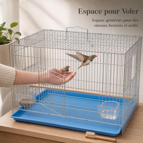 Grande cage oiseaux - cage, en