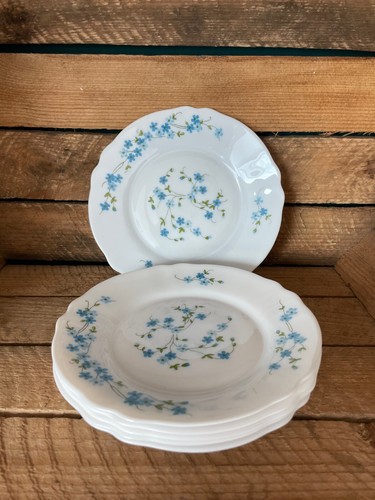 Assiettes dessert arcopal - 6,