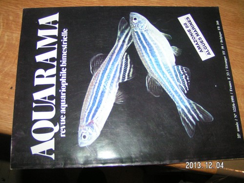 Aquarama 122 decor perso - aquarama,
