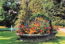 37 TOURS LE BASKET FLEURI DU JARDIN BOTANIQUE