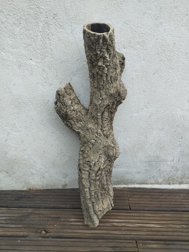 écorce liège brut forme - de,
