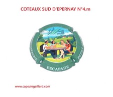 Champagne capsule - COTEAUX SUD D'EPERNAY N°4.m