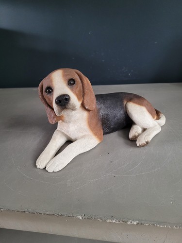 Chien beagle sandra - chien,