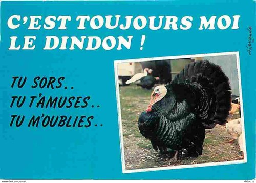 Carte postale animaux - carte,