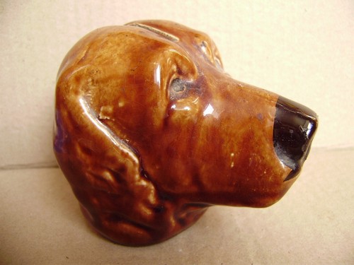 Chien chasse tirelire - chasse,