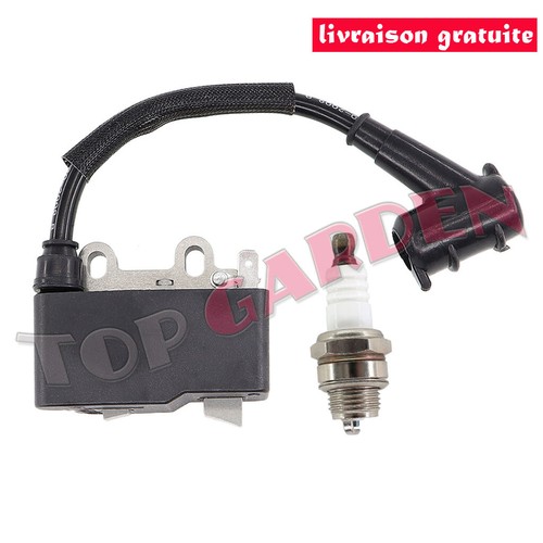 Module bobine allumage - bobine, d'allumage