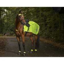 Couvre-reins pour cheval