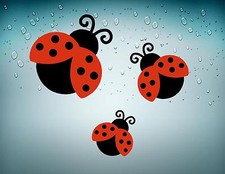 3x Autocollant sticker voiture moto coccinelle decoration insecte 