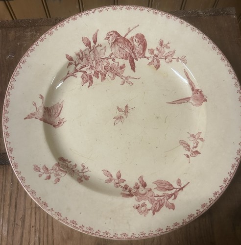 Modèle favori grand plat rond - modèle,