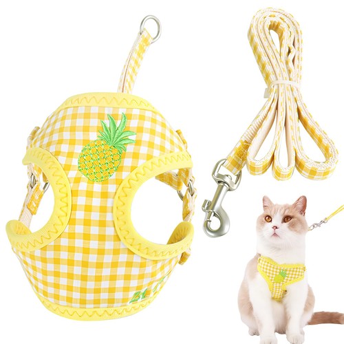 Harnais chiot chihuahua - chiot, et