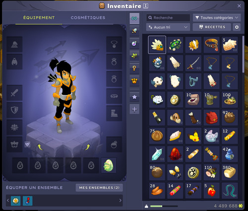 Compte dofus cra lvl 200 - compte,