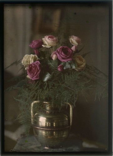 Autochrome nature - (13x18),