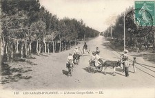 CPA DOS VERT VENDEE 85 LES SABLES D'OLONNE L'AVENUE GEORGES GODET