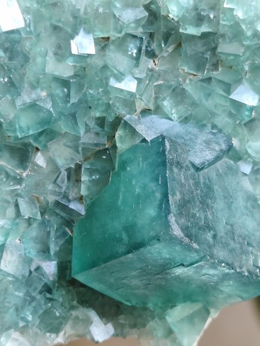 13kg 17cm fluorite bleu - xl,