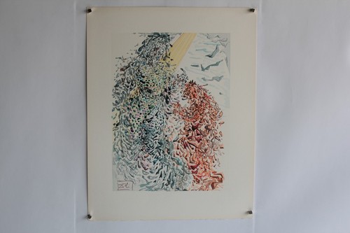 Salvador dali lithographie - salvador, la