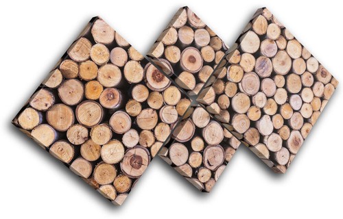 Teak wood log bark tree - wood,