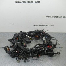 Faisceau electrique Piaggio