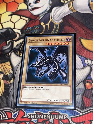 Dragon noir aux - noir,