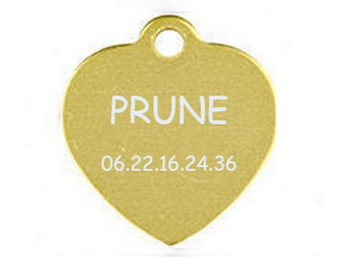 Medaille gravee chien chat - ou,