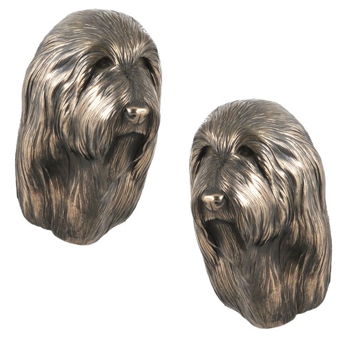 Bearded collie highland - bearded, collie,