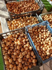 Noix fraiches Ariègeoise