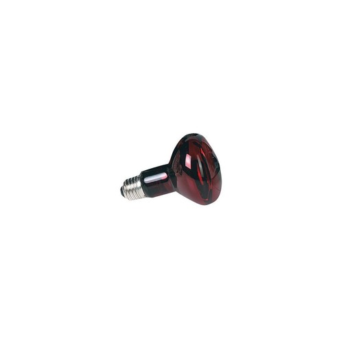 100 zoo med lampe spot - w,