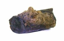 2 Inch Denio Nevada Brown Black Silica Opal Wood Bentonite Fossil Limb Specimen 