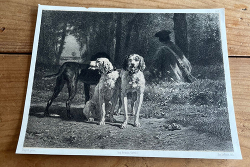 Gravure ancienne chien n72 - chien,